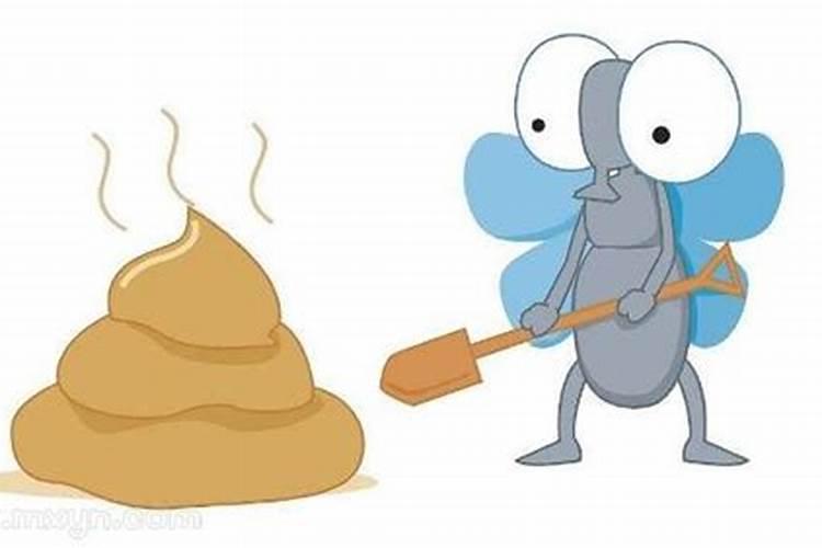 梦见大便是什么意思？