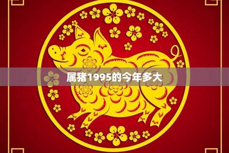 1995属猪女今年运势