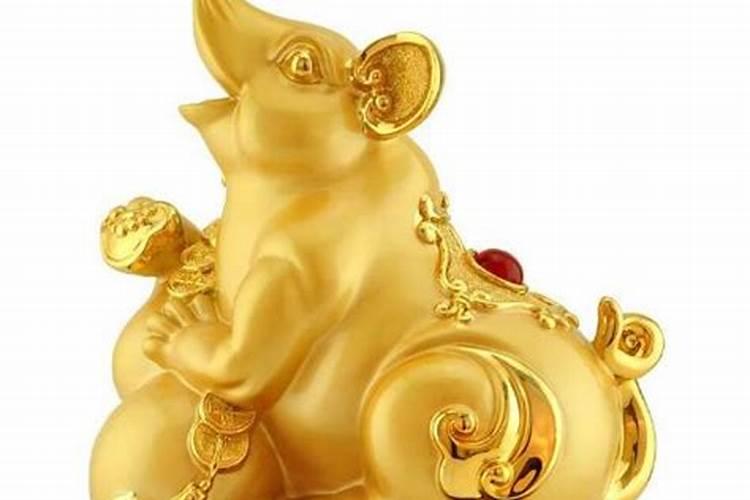 鼠的本命年运气如何？