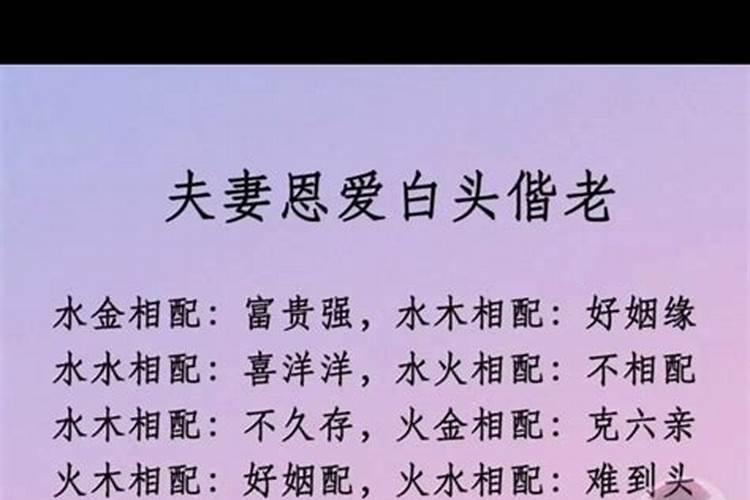 女狗男羊八字合不合适