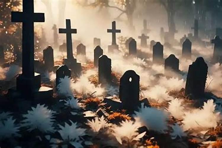 梦见坟地有蛇好不好？