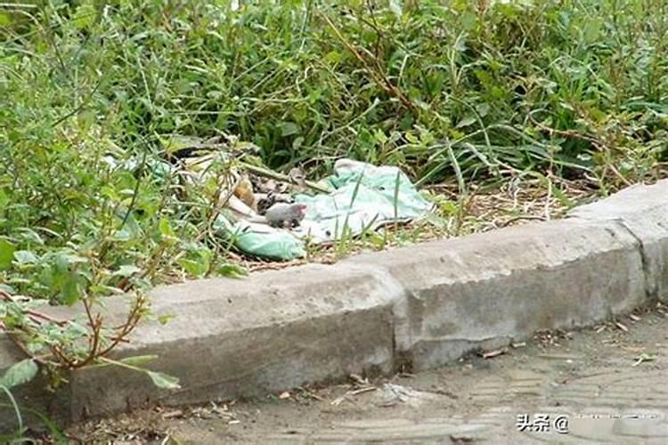 夭折的孩子不能入祖坟