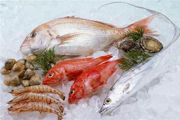 梦见很多鱼被冻住了？