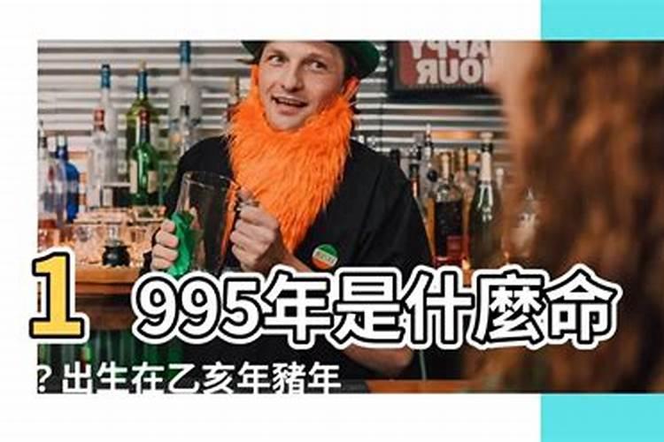 乙亥年1995出生运势