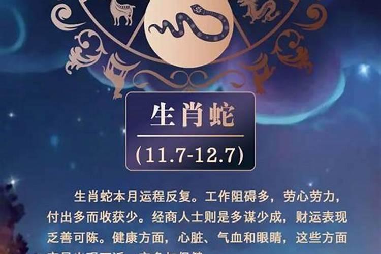 2026属相鼠下半年运势大全