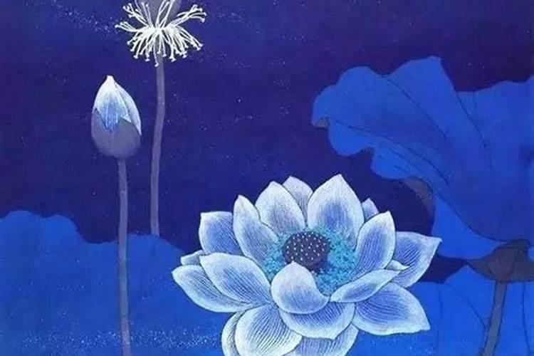 真童子命的特殊使命是什么？