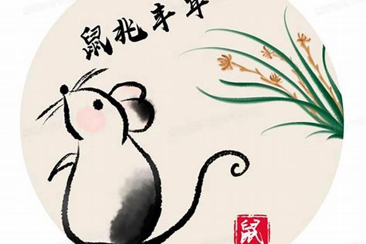 十二生肖的老鼠的本命年,好不好？