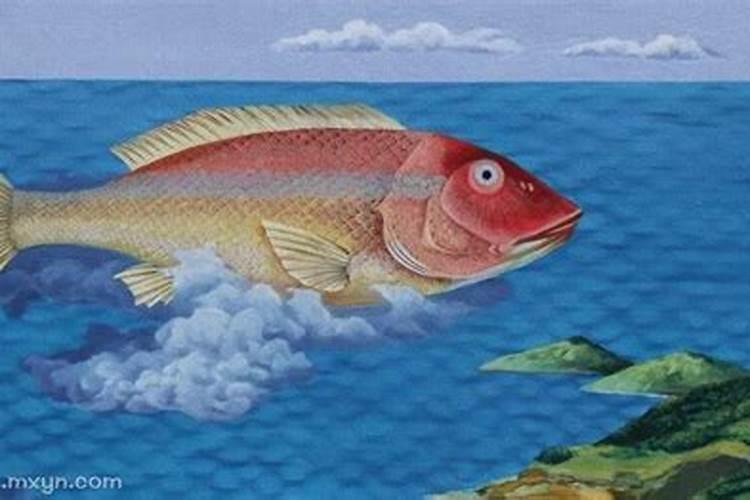 梦见厕所有大鱼是什么意思？