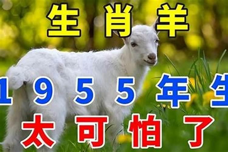 1955年出生人四月运程