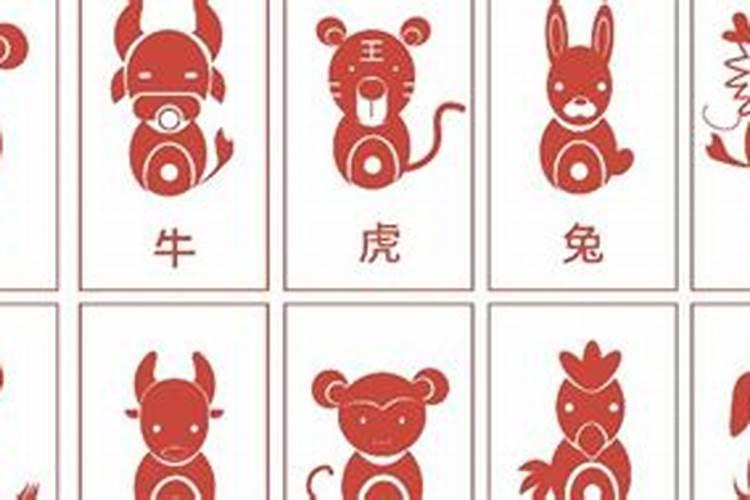生肖配对可信吗？