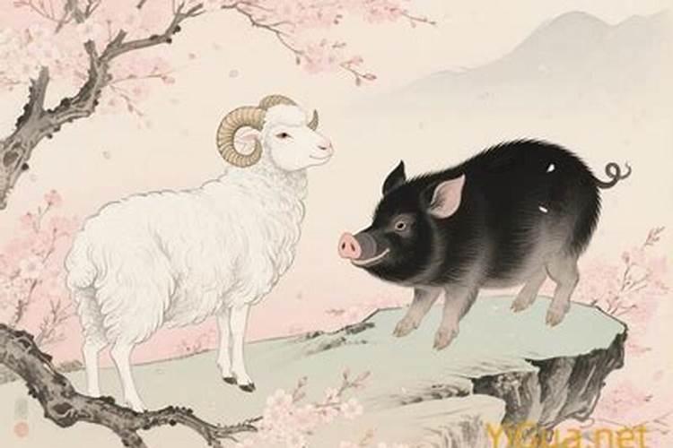 属羊和属猪八字五行合吗？