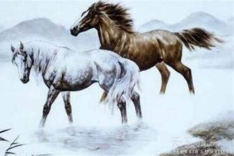 马和马属相婚配可以吗？