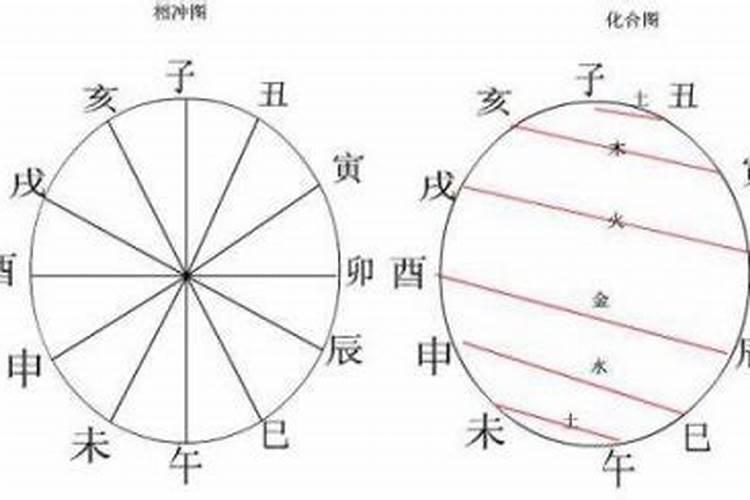 八字什么相冲相合？