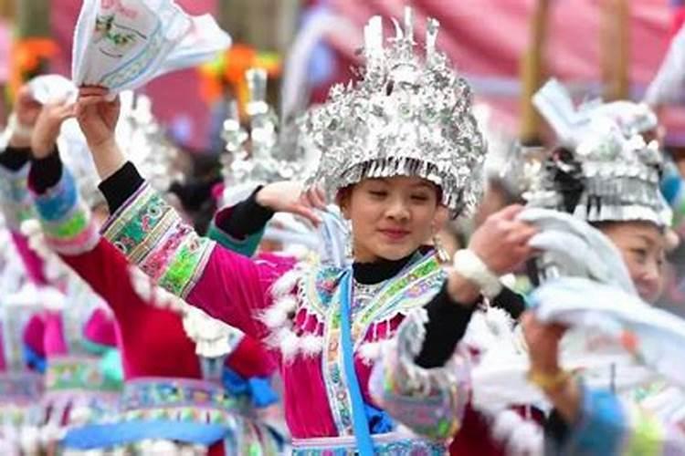 广西有哪些大小年种类？