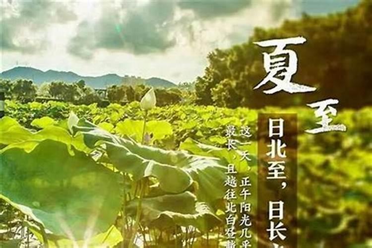 梦夏至日是哪个节气？