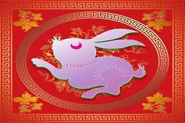 属兔的人鼠年犯太岁