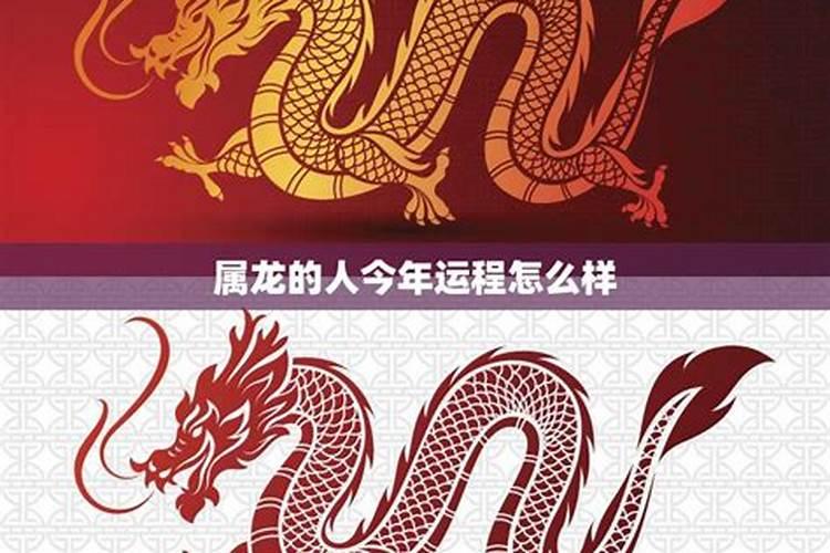 属龙人在牛年的运势怎么样？