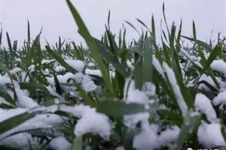 冬至应该注意点什么？