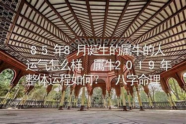 农历8月初3的运程如何？