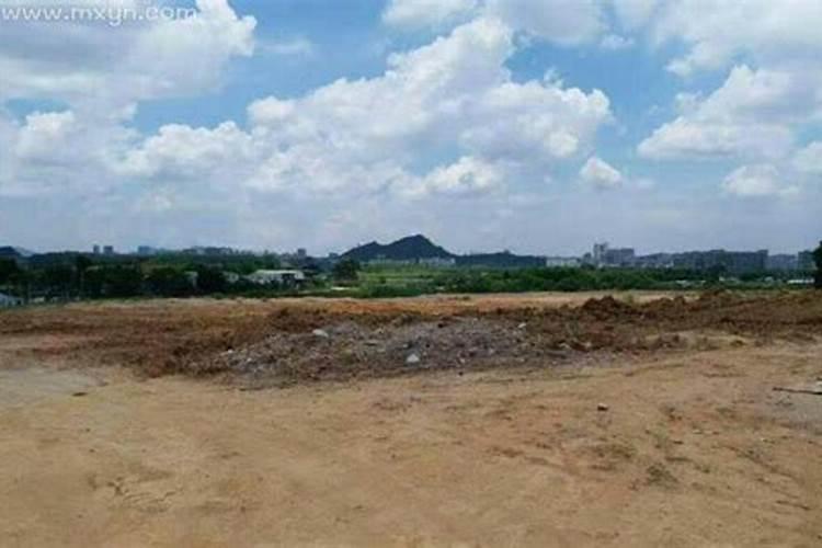 梦见好几只个人买了一块地皮？