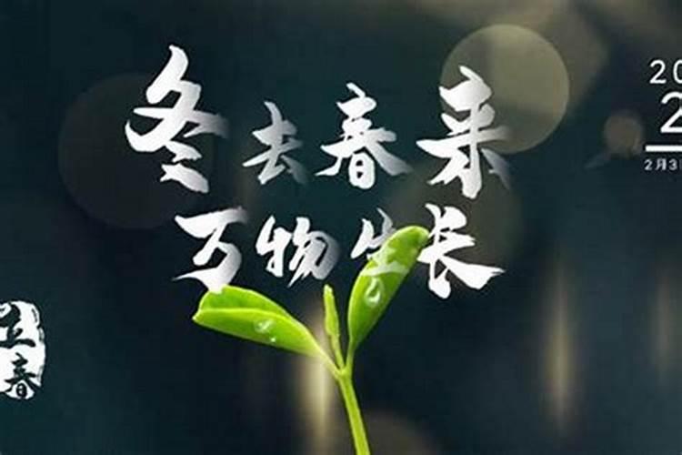 立春2026要注意什么？