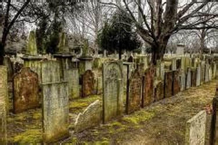 梦见坟地睡觉什么意思？