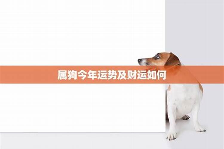 1946年属狗今年运势