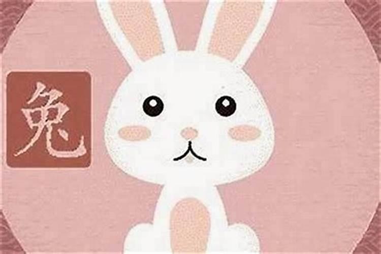 属狗与属兔合婚吗？