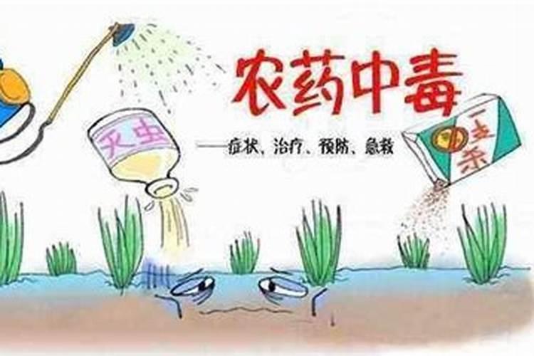 梦见女儿喝农药死了