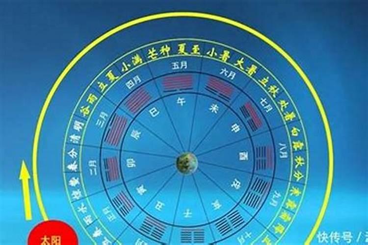 配偶星看天干还是地支？