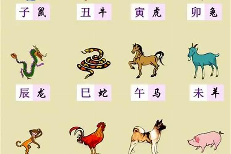 今年是什么生肖年？