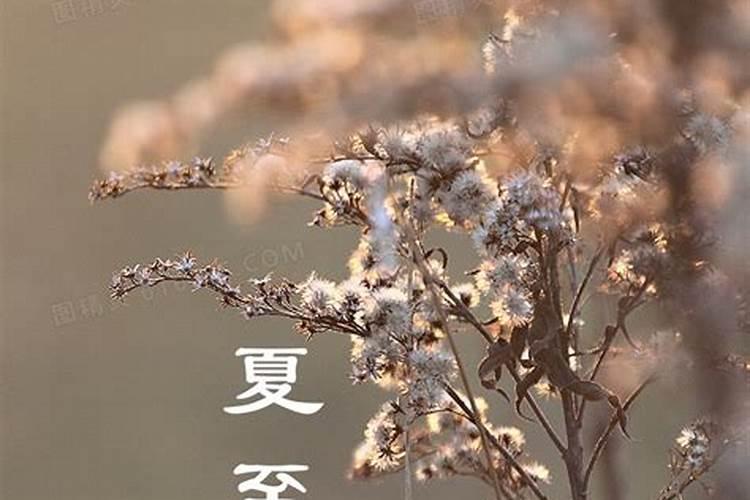 二零零年几月几日夏至？