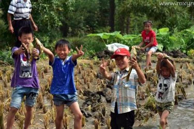 梦见跟爸爸一起抓鱼