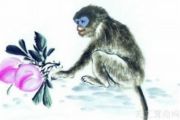 属猴与属猴的属相婚配好吗？