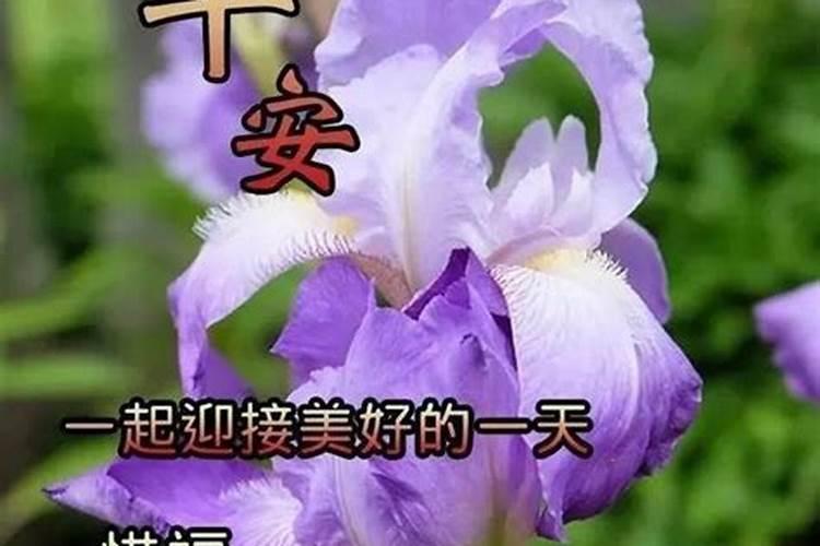 十月初一哪里的天气好？