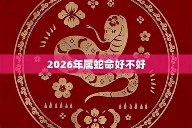 蛇年出年2026年运程