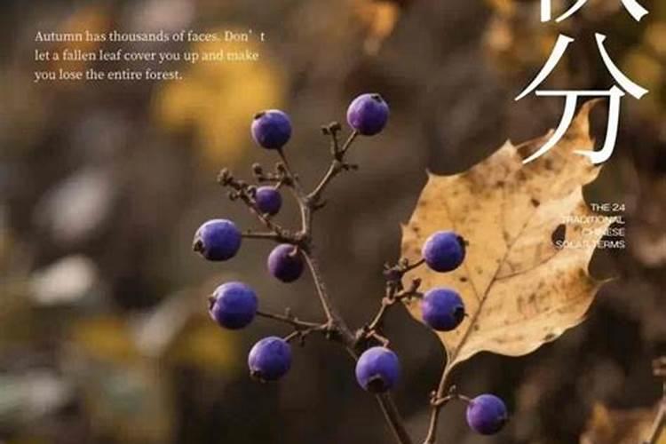 秋分后注意保暖