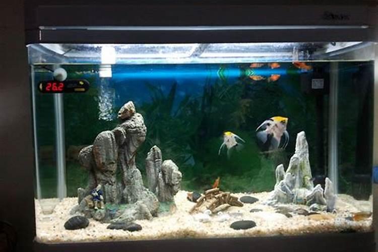 鱼缸必须讲风水吗？