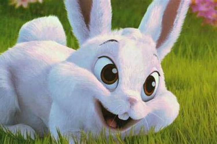 9月属兔人运程如何？