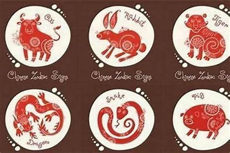 属猴女和属龙男合婚吗？