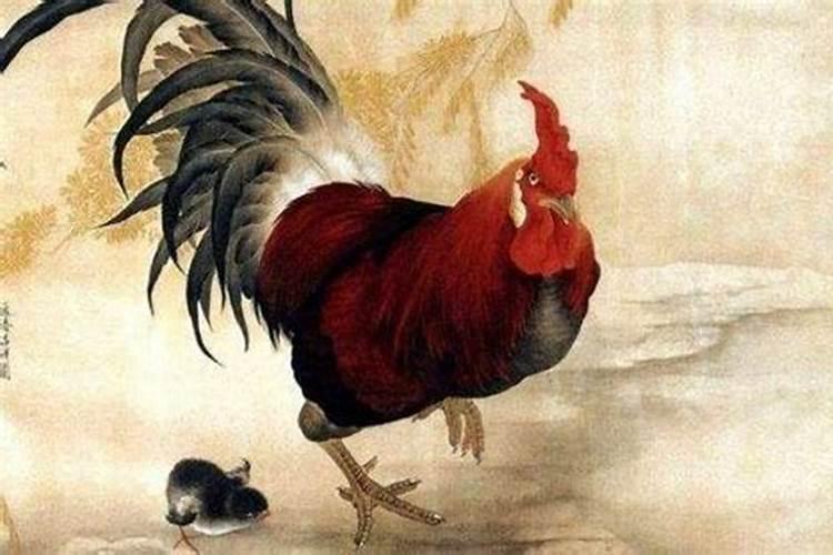 正月初二属鸡男人命运