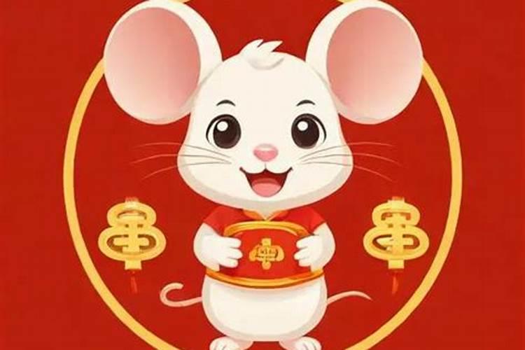 属鼠最近运势如何？