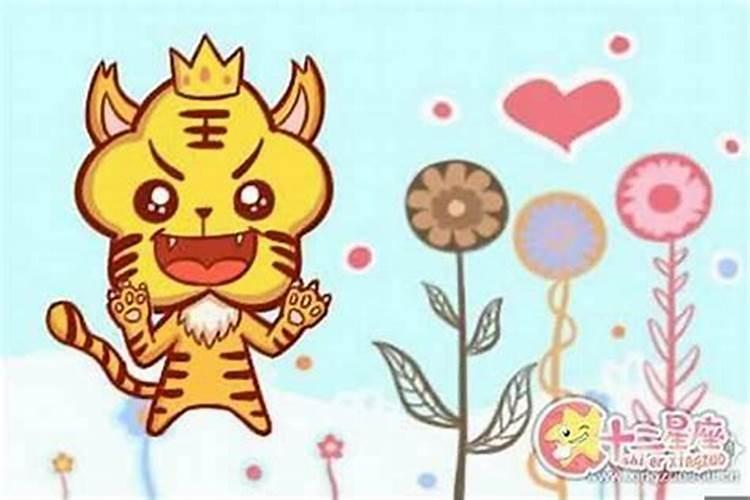 正月初一亥时出生的虎男孩