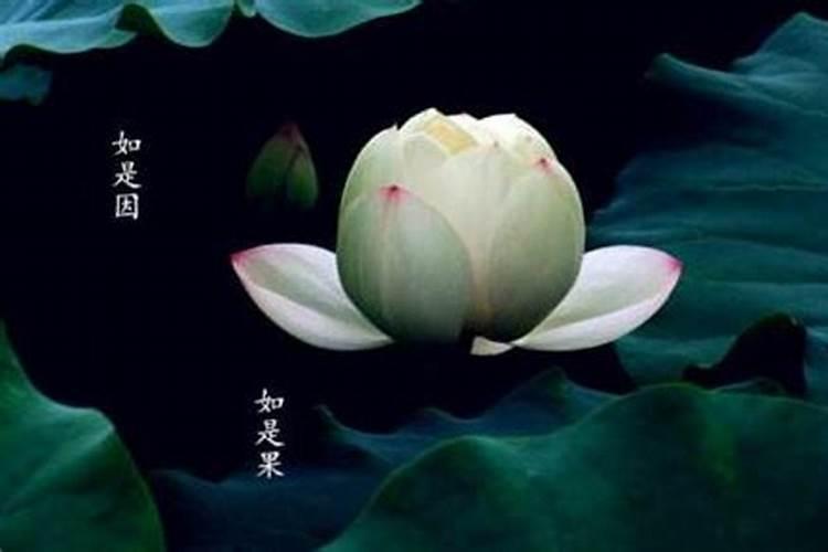 堕胎后欠下了阴债