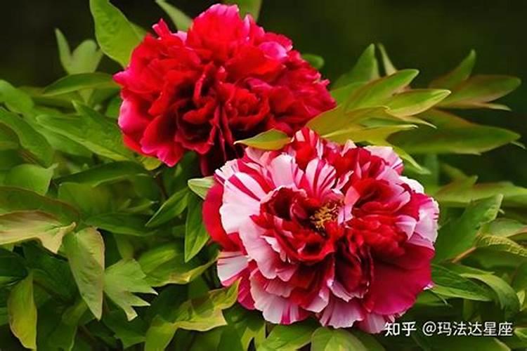 如何提出考试运气？