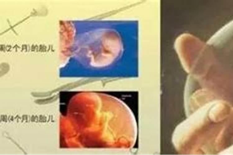 被堕胎的婴灵中阴身