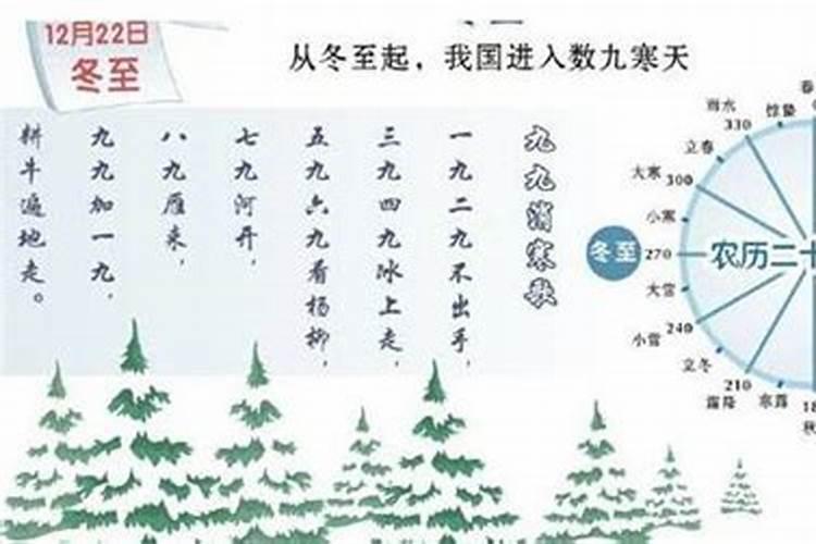冬至节气排第几？