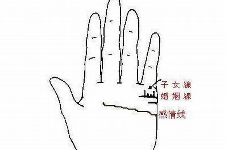 怎么看命中有几个孩子？