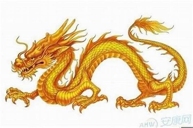 夏至出生属龙的女人