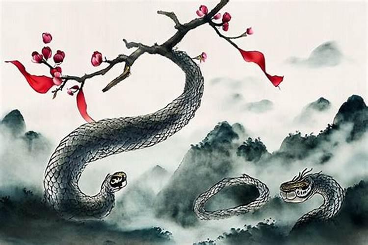 2026蛇婚姻运势如何？